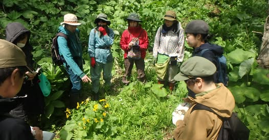 裏山トレース～早春