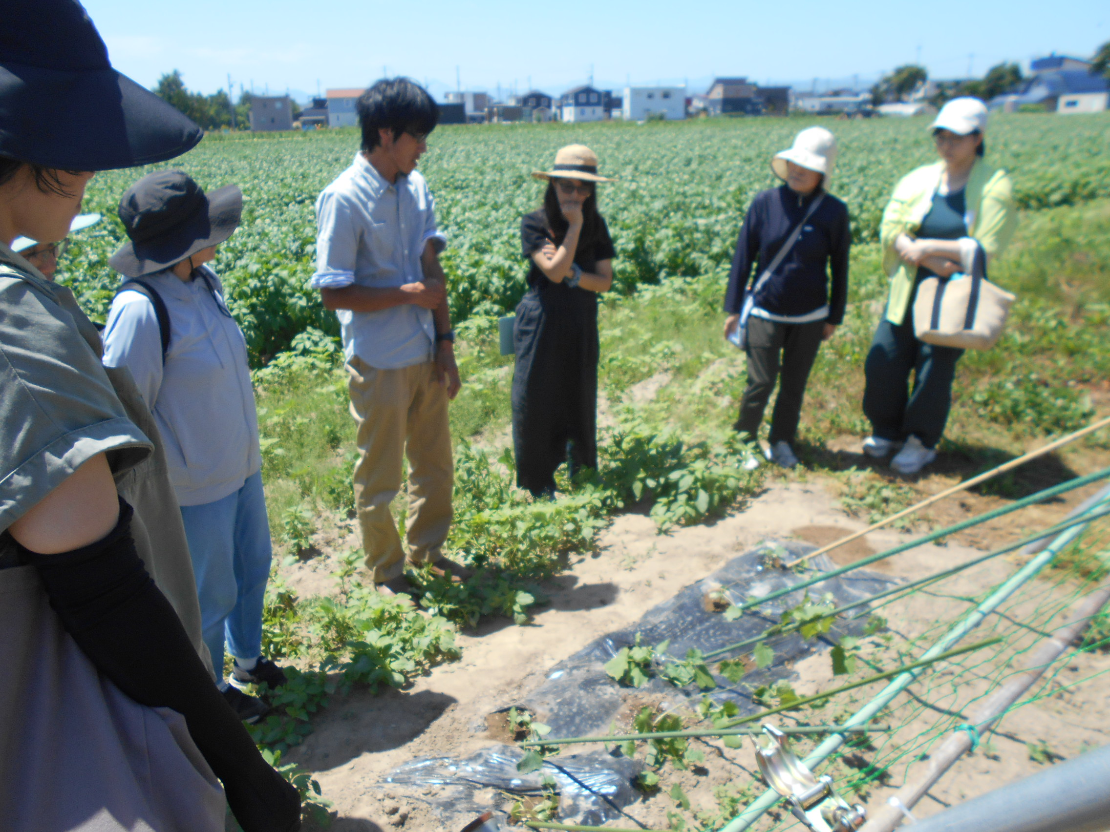 畑の講座（連続）